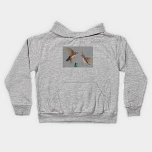 Australian Zebra Finches Kids Hoodie